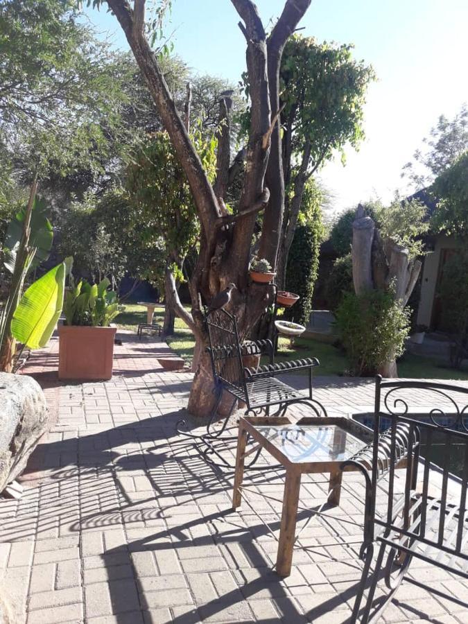 A New Earth Guest Lodge Francistown Exteriör bild